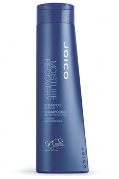 Joico Moisture Recovery Shampoo 300ml