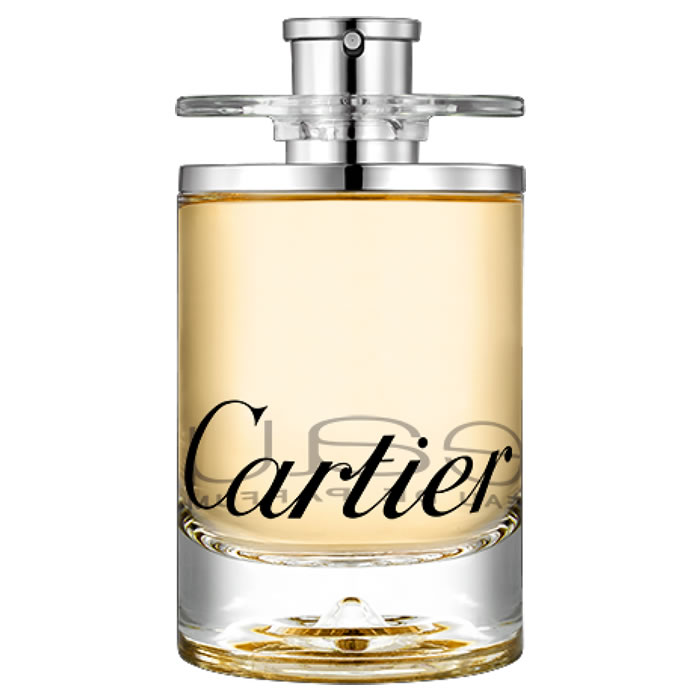 eau de cartier 100ml prezzo