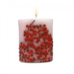 Acqua Di Parma Red Berries Candle 900g