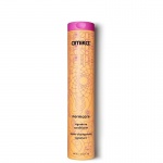 amika normcore signature conditioner 300ml