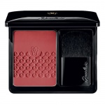 Guerlain Rose Aux Joues Blush Chic Pink 02 6g