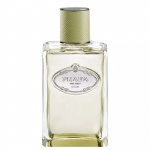 Prada Infusion Vetiver EDP 100ml