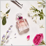 Guerlain Women's Fragrance